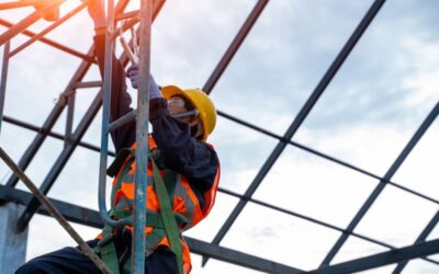 From Tradie To Business Owner: How Our Education System Failed You